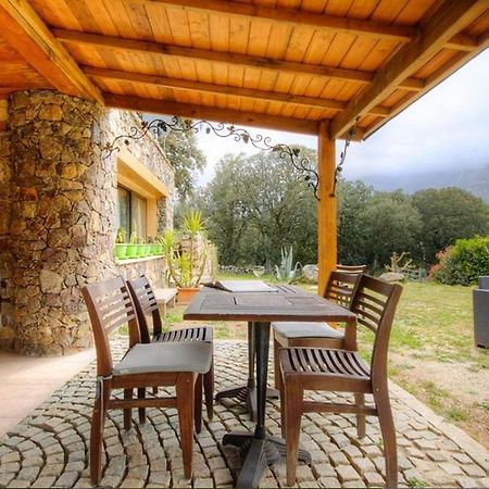 Studio Confortable Avec Vue Sur La Montagne A Moltifao 30M² Jardin Eksteriør billede