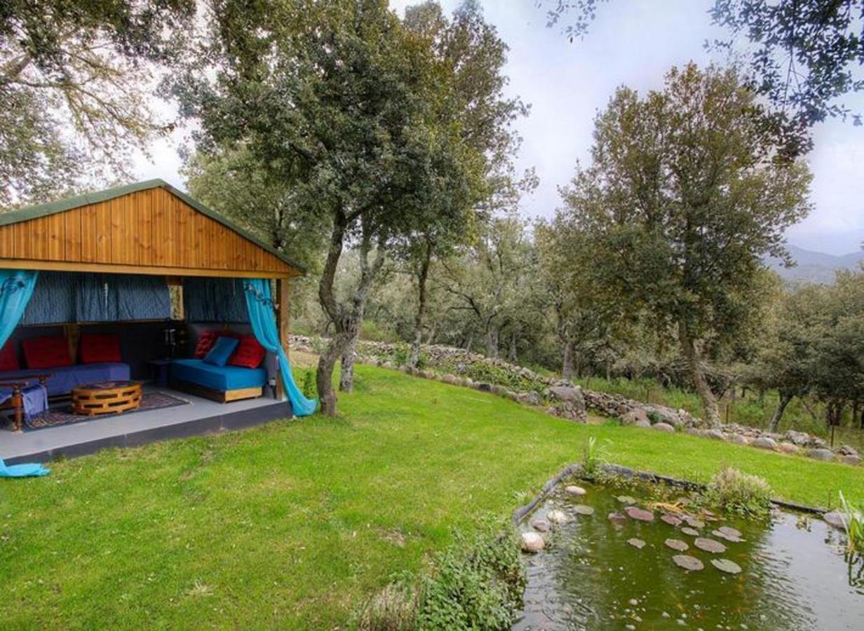 Studio Confortable Avec Vue Sur La Montagne A Moltifao 30M² Jardin Eksteriør billede