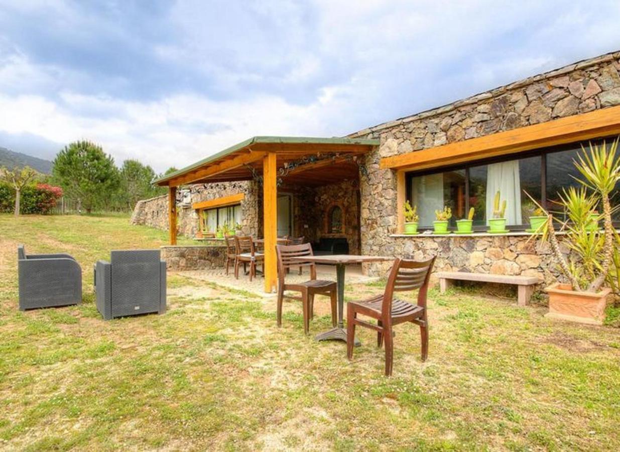 Studio Confortable Avec Vue Sur La Montagne A Moltifao 30M² Jardin Eksteriør billede