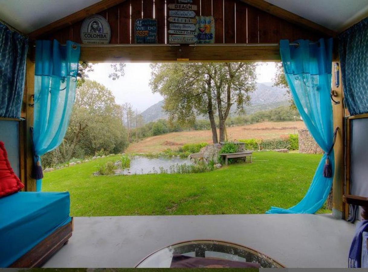 Studio Confortable Avec Vue Sur La Montagne A Moltifao 30M² Jardin Eksteriør billede