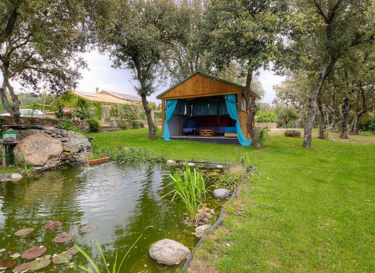 Studio Confortable Avec Vue Sur La Montagne A Moltifao 30M² Jardin Eksteriør billede